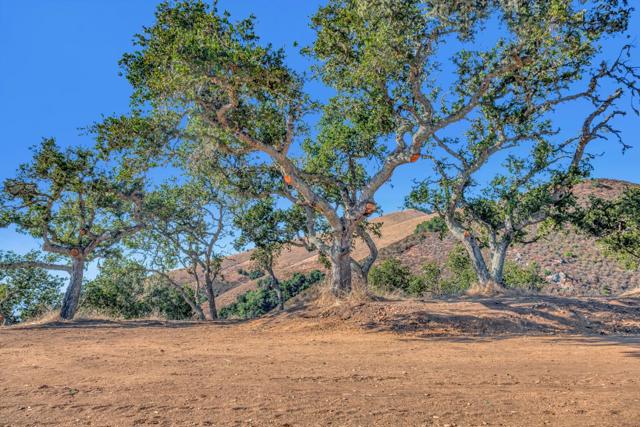 0 Ranch, Lot#3, 500 El Caminito, Carmel Valley CA: https://media.crmls.org/mediaz/8d89886e-52e8-40cb-8463-e4e6e29523a5.jpg