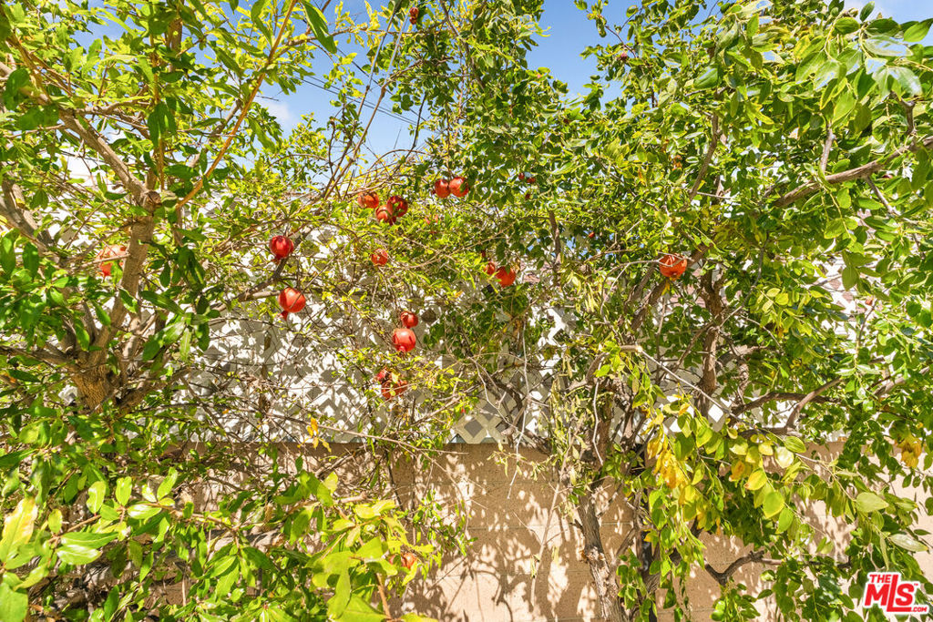 https://media.crmls.org/mediaz/8d8f9d05-e3f4-42ca-9541-3eb33208dadd.jpg?preset=X-Large