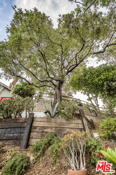 2882 Belden Drive, Los Angeles CA: https://media.crmls.org/mediaz/8d9f797c-47be-4f7a-97c1-857eff81a5c7.jpg