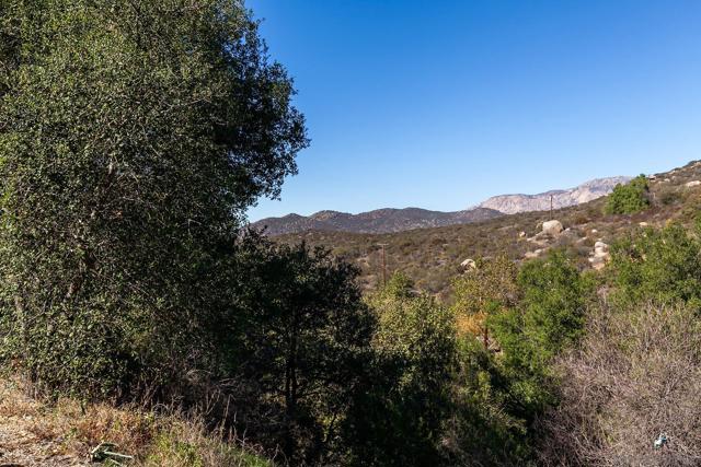 1167 Peutz Valley Rd, Alpine CA: https://media.crmls.org/mediaz/8da36e56-31df-4186-9fd3-c81236a8e68a.jpg
