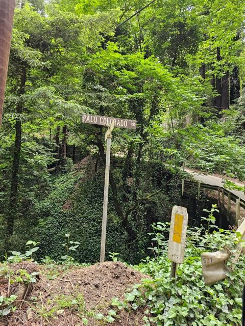0 Garrapatos Redwood Trail, Carmel CA: https://media.crmls.org/mediaz/8dbe3e80-69fd-4b09-8c48-807f72ed6cff.jpg
