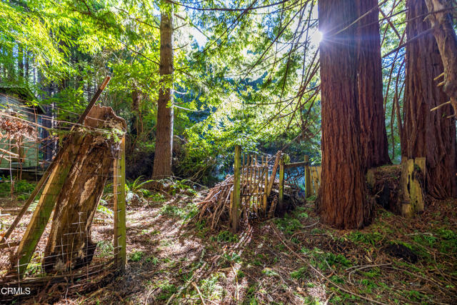 Detail Gallery Image 12 of 12 For 44720 Jack Peters Creek Rd, Mendocino,  CA 95460 - 3 Beds | 2 Baths