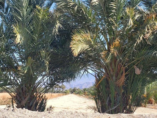 Image 3 of 8 For 0 Calhoun Street