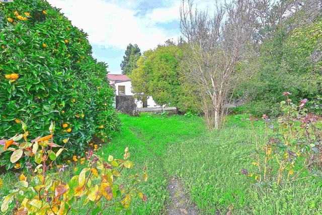 Image 34 of 51 For 181 Lewelling Blvd