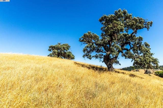 0 Oak Glen Ave, Morgan Hill CA: https://media.crmls.org/mediaz/8de1ebc0-88d2-45f2-ba04-388d6cdf1ad4.jpg