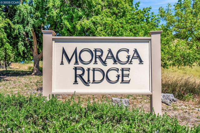 117 Alta Mesa Ct, Moraga CA: https://media.crmls.org/mediaz/8de3ae8b-c079-4447-ad13-78b924876324.jpg