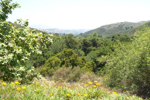 Hiking trail view