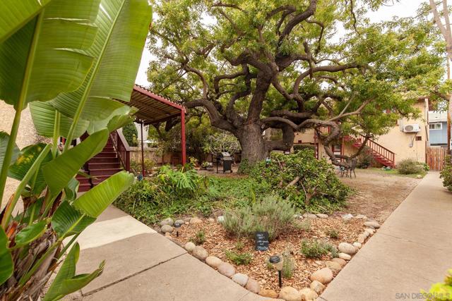 4438 44 Campus, San Diego CA: https://media.crmls.org/mediaz/8de52488-5f1a-4ac5-9dd2-136f4c6b1136.jpg