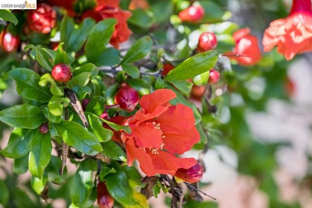 Image 26 of 37 For 1516 Merced St