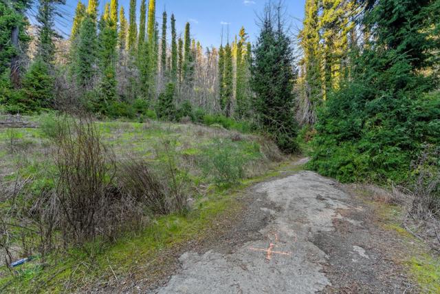 21200 Big Basin Way, Boulder Creek CA: https://media.crmls.org/mediaz/8df3f9ec-0f9d-423d-be88-6957b49e9913.jpg