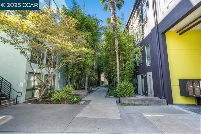 1201 Pine St, Oakland CA: https://media.crmls.org/mediaz/8df67f3c-936d-4894-a2f8-648d03fcce37.jpg