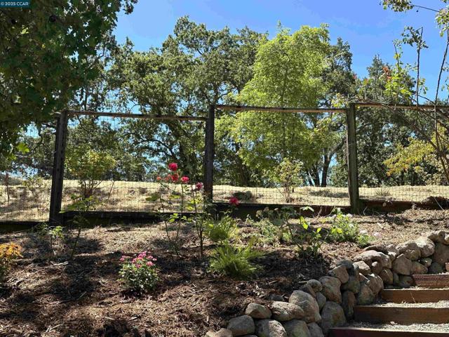 71 Maple Ln, Walnut Creek CA: https://media.crmls.org/mediaz/8df6cce5-3804-4d63-8c1a-0cf22684bc38.jpg
