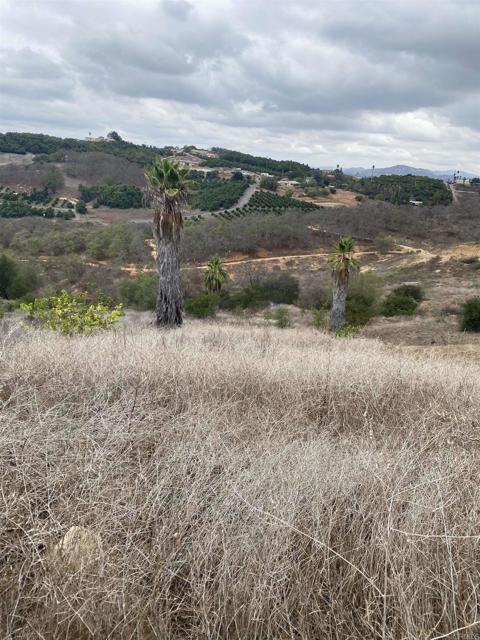 0 Ridge Creek Road, Valley Center CA: https://media.crmls.org/mediaz/8dff9a8b-05b0-4c6f-8b5e-6d6fb077f239.jpg