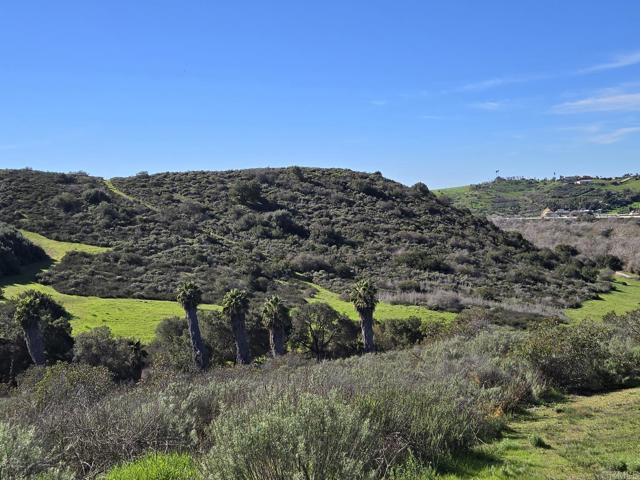 Detail Gallery Image 6 of 9 For Old River Road, Bonsall,  CA 92003 - – Beds | – Baths