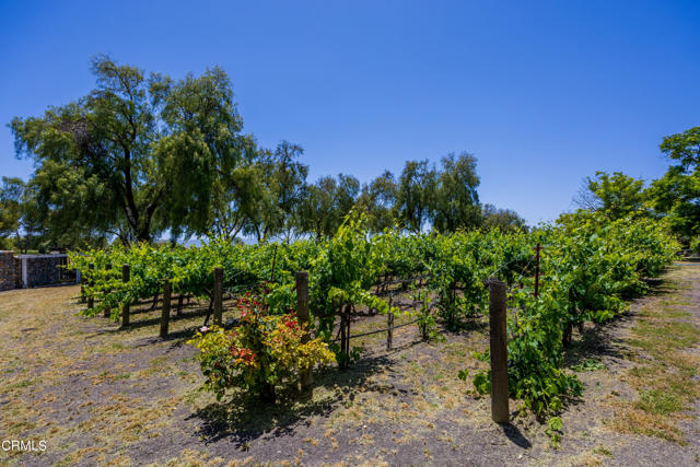 Image 27 of 39 For 2851 Tapadero Road