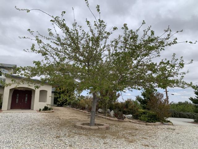 9020 Pionero Road, Pinon Hills CA: https://media.crmls.org/mediaz/8e19580f-b871-435c-b16b-d657d5dbfa85.jpg