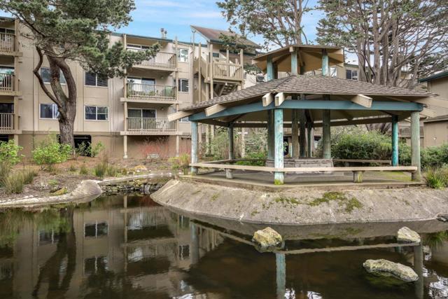 359 Half Moon Lane, Daly City CA: https://media.crmls.org/mediaz/8e1bb730-a996-4f12-b345-1ba524751bd0.jpg