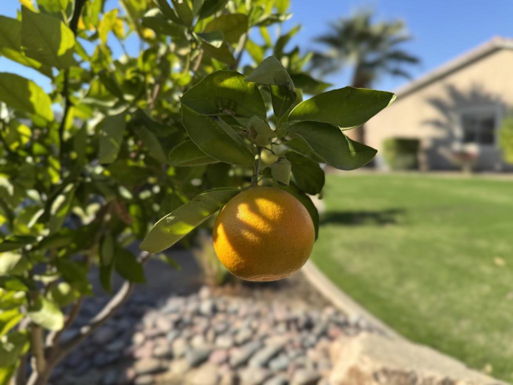 https://media.crmls.org/mediaz/8e22e3a2-a584-4e0b-9d52-6e0514187372.jpg?preset=X-Large