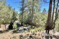 0 Northridge, Idyllwild CA: https://media.crmls.org/mediaz/8e247b51-b785-4910-85f5-6a992538729c.jpg