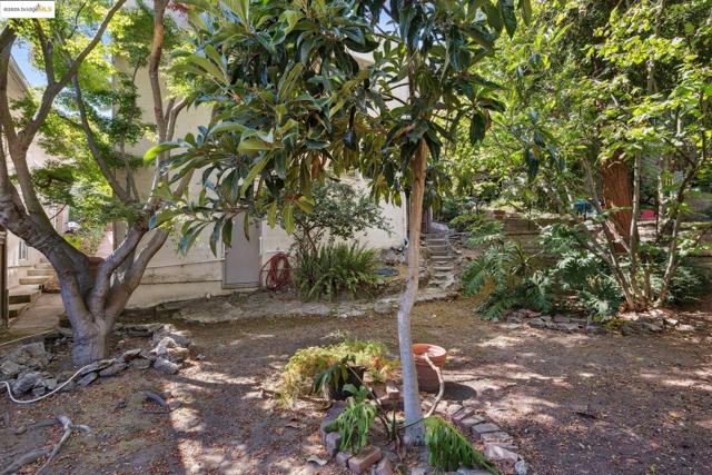84 Portsmouth Rd, Piedmont CA: https://media.crmls.org/mediaz/8e2f3274-17e3-418d-af14-e041b28642f9.jpg