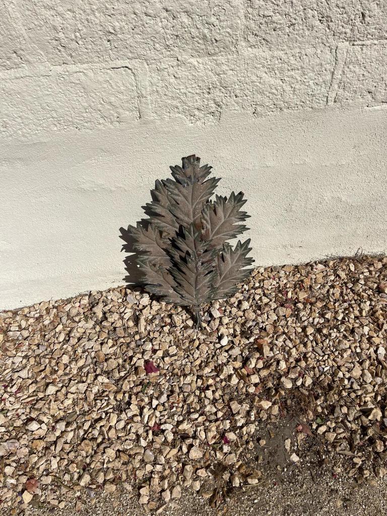 MLS #219132776DA image #10