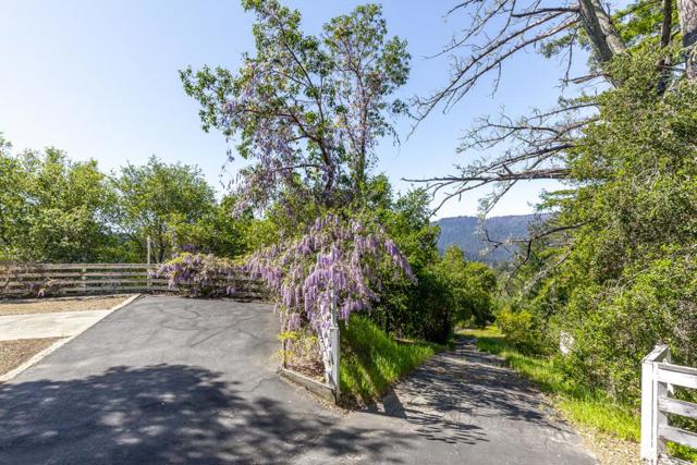 708 Ralston, Boulder Creek CA: https://media.crmls.org/mediaz/8e48b3c7-5f46-4486-9e72-6e9d6f451e67.jpg