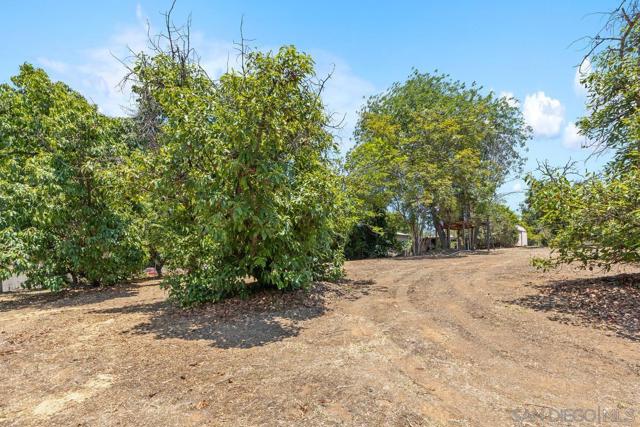 11249 Valle Vista Rd, Lakeside CA: https://media.crmls.org/mediaz/8e5c7c67-004b-481e-95c9-fcbda7e22d59.jpg