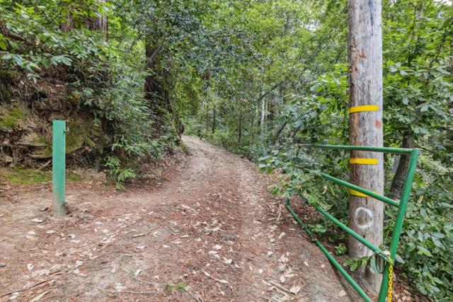 1365 Caledonia Avenue, Ben Lomond CA: https://media.crmls.org/mediaz/8e5dec11-86e2-4dd3-9f62-a3785c914605.jpg