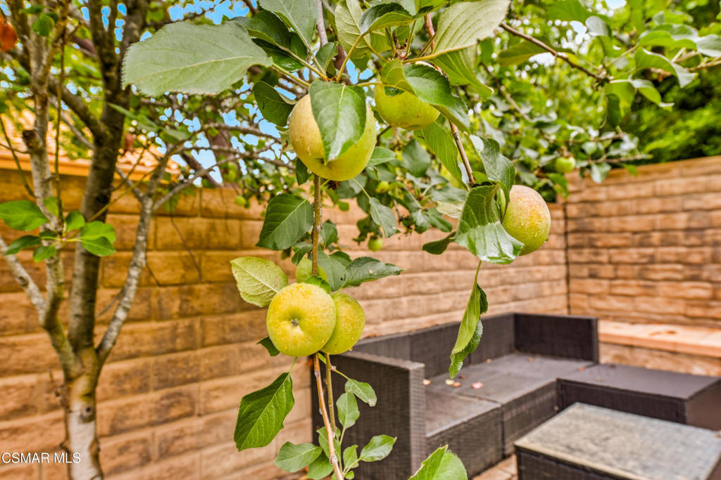 https://media.crmls.org/mediaz/8e614c0d-4631-4f2e-8bd7-7507d67a6c4d.jpg?preset=X-Large