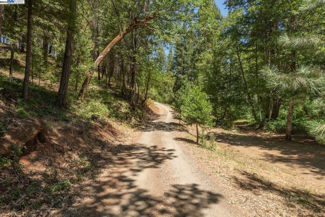 4298 Little Browns Creek Rd., Douglas City, California 96093, 4 Bedrooms Bedrooms, ,1 BathroomBathrooms,Single Family Residence,For Sale,Little Browns Creek Rd.,41057739