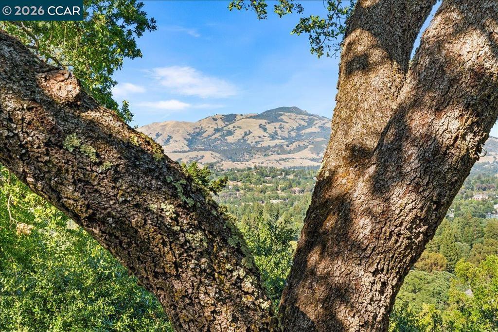 https://media.crmls.org/mediaz/8e7a2928-0f9c-423f-aedd-bfbefad64242.jpg?preset=X-Large