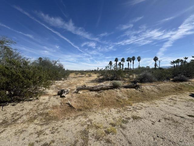 Detail Gallery Image 22 of 33 For 0 Verbena Dr, Borrego Springs,  CA 92004 - – Beds | – Baths