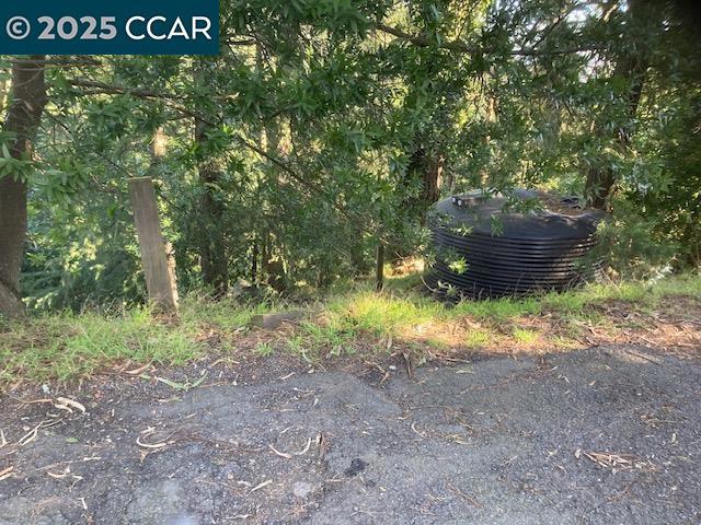 0 Starkville Ct, Orinda CA: https://media.crmls.org/mediaz/8e965e8d-3a8e-4748-ab0c-c3b8af8d01d1.jpg