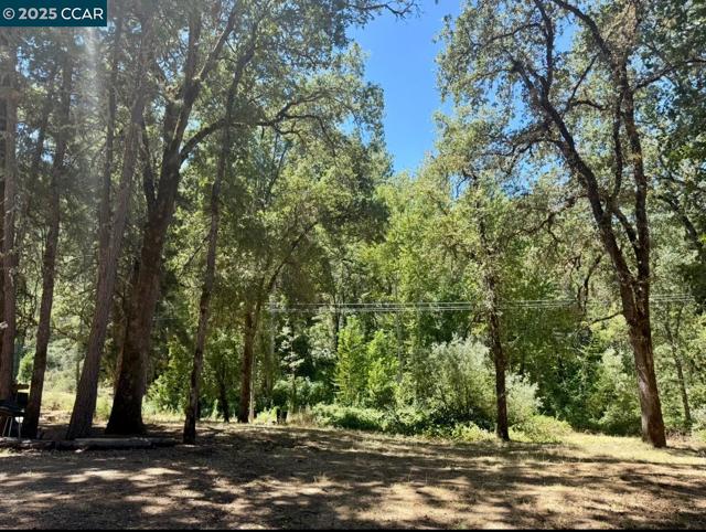4578 Pretty Good Rd, Placerville CA: https://media.crmls.org/mediaz/8e968ca6-fb89-48a0-a37d-3c3ffa46464f.jpg