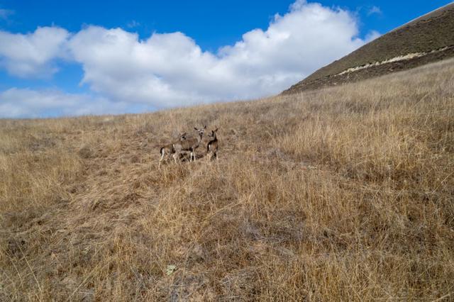 367 San Benancio, Salinas CA: https://media.crmls.org/mediaz/8e98ef71-cee5-4d62-813c-6a2960d79e3f.jpg