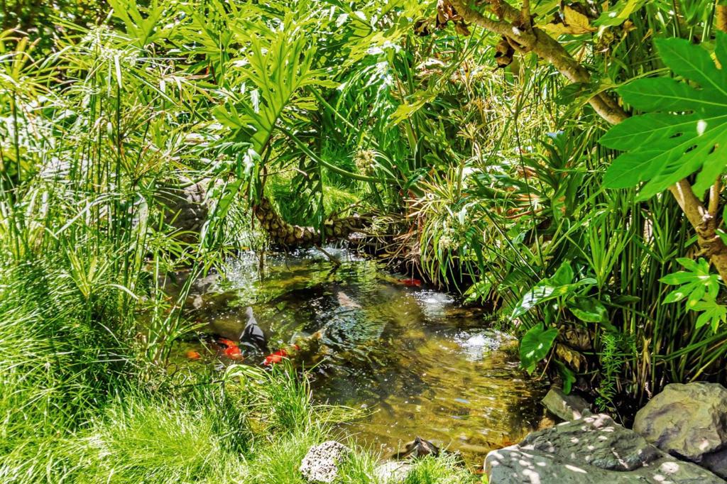 https://media.crmls.org/mediaz/8ea0ff23-474d-4847-8b55-8a7018b7ae67.jpg?preset=X-Large