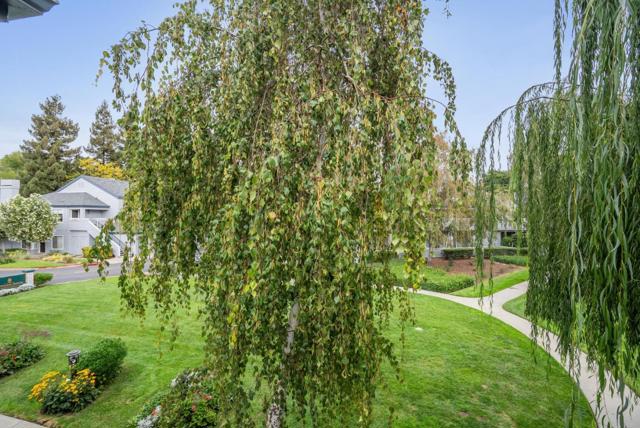 1612 Parkview Green Circle, San Jose CA: https://media.crmls.org/mediaz/8ea319bc-0b72-4004-9a9e-ca2893a429cb.jpg