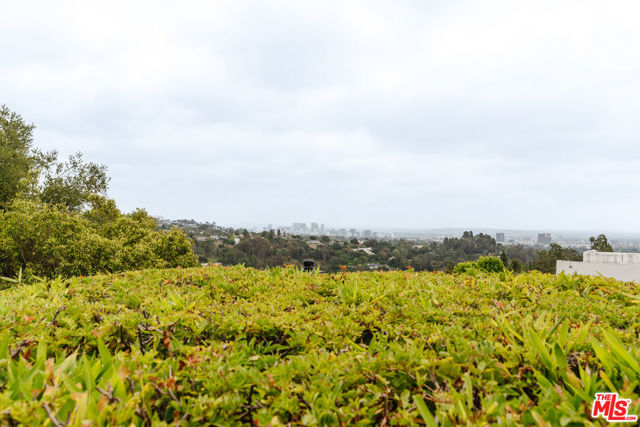 2208 Westridge Road, Los Angeles CA: https://media.crmls.org/mediaz/8ea531e1-6947-4879-b403-776a08fbcda0.jpg