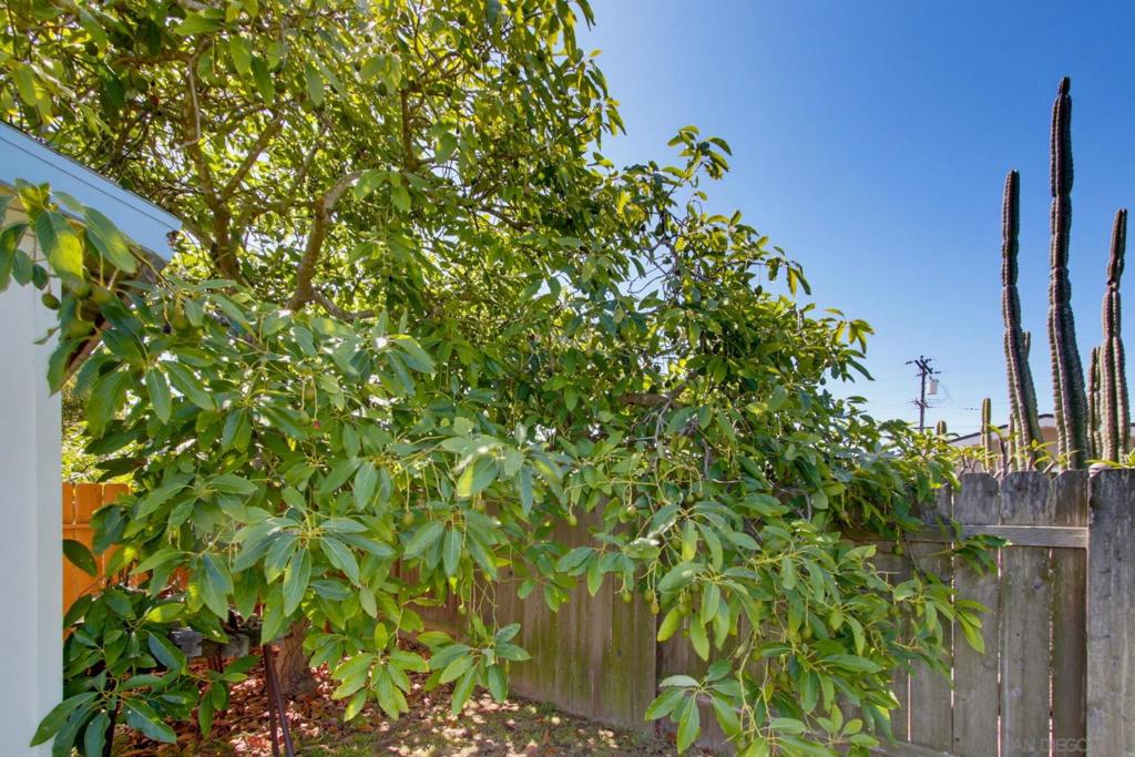 4041 Appleton - photo 11