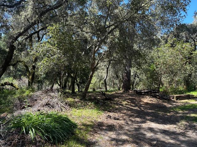 0 Hidden Glen Drive, Scotts Valley CA: https://media.crmls.org/mediaz/8eb0f17b-9d99-4695-8e1f-c3d4a85be644.jpg