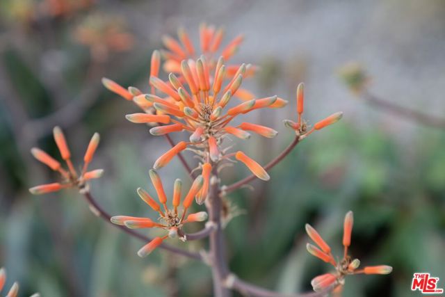 2829 Westbrook Avenue, Los Angeles CA: https://media.crmls.org/mediaz/8ebbc740-3377-48f8-9023-db1e3c5649ee.jpg