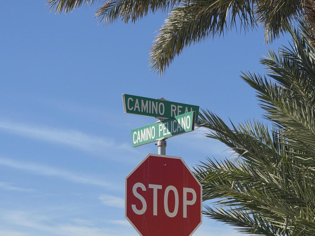 MLS #219137821DA image #41