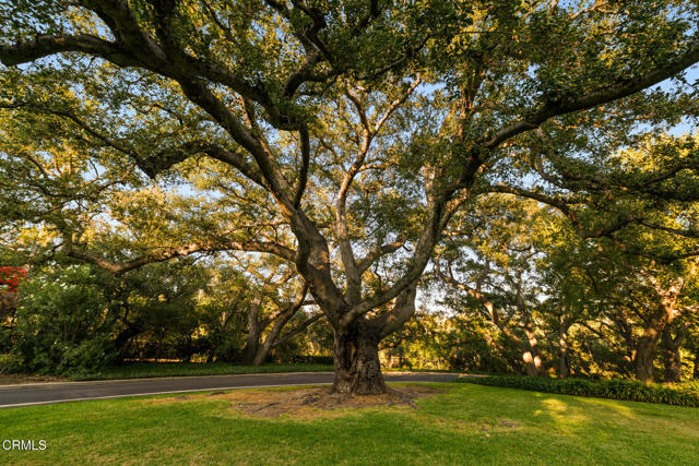 Detail Gallery Image 17 of 23 For 707 Rockwood Rd, Pasadena,  CA 91105 - 6 Beds | 6 Baths