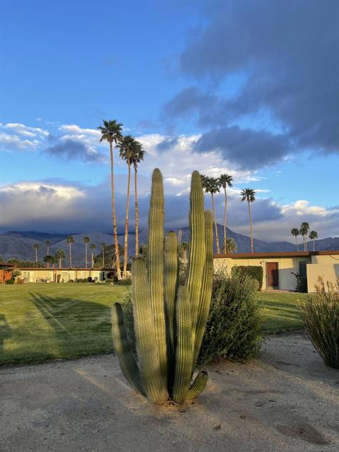 3133 Club Cir, Borrego Springs, California 92004, 2 Bedrooms Bedrooms, ,1 BathroomBathrooms,Condominium,For Sale,Club Cir,250019542SD