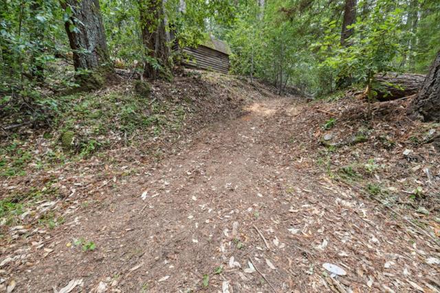 1365 Caledonia Avenue, Ben Lomond CA: https://media.crmls.org/mediaz/8edd0f66-8e5b-457d-ba2f-f965db75f7f6.jpg