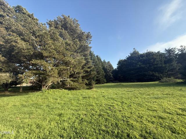 31750 Pudding Creek Road, Fort Bragg CA: https://media.crmls.org/mediaz/8ee2ef8e-394f-4272-8cb9-83c80b72cd36.jpg