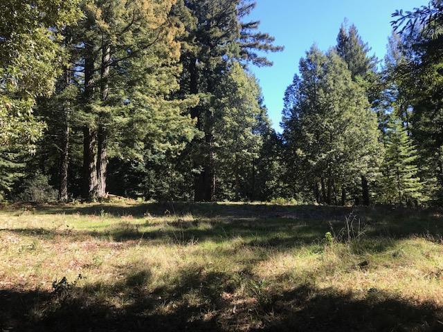 MLS #ML81992698 image #2