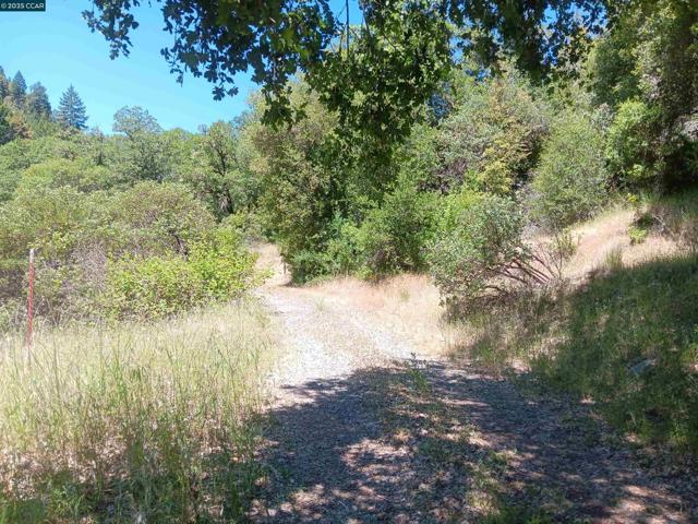 55855 Highway 101, Laytonville CA: https://media.crmls.org/mediaz/8ee7e6cf-e9d3-4acb-9bc3-e118304a77d5.jpg