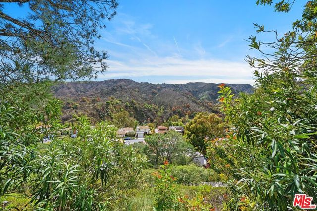 Drew Fenton | 1317 Avenida De Cortez Pacific Palisades CA | MLS: 7117370