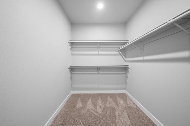 21-web-or-mls-DSC_6502